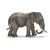 Schleich African Elephant Female Toy Figurine
