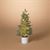 16"H B/O LIGHTED POTTED PINE TREE