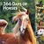 Horses, 365 Days of, 2024 Square FOIL