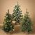 24"H BATTERY OPERATED LIGHTED PINE TREE. 3 ASSORTE