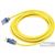 Extension Cord 40 ft