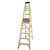 Step Ladder Type IA 10'